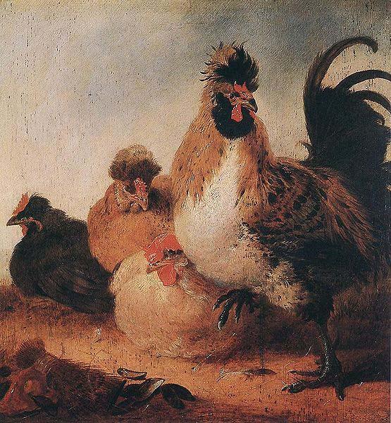 Aelbert Cuyp Rooster and Hens. Sweden oil painting art